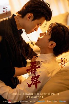 失踪的国王 封面图